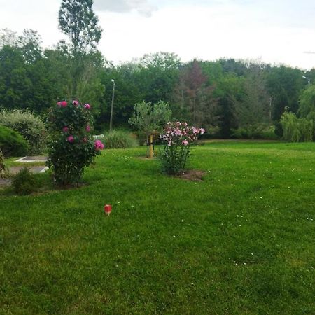 Chambre Avec Entree Independante Dans Un Ecrin De Verdure Dommartin  Bagian luar foto